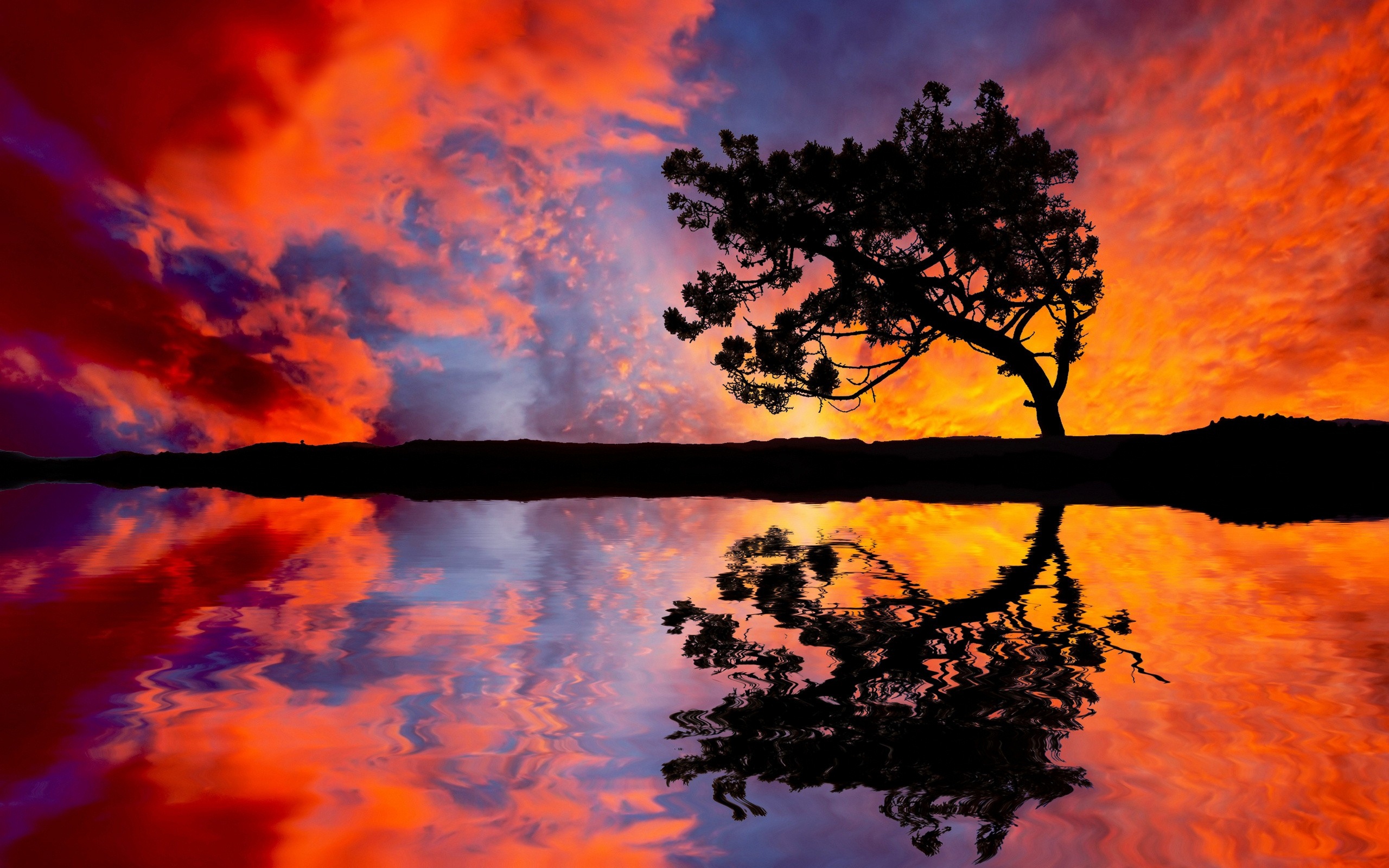 Tree-Sunset-Reflection
